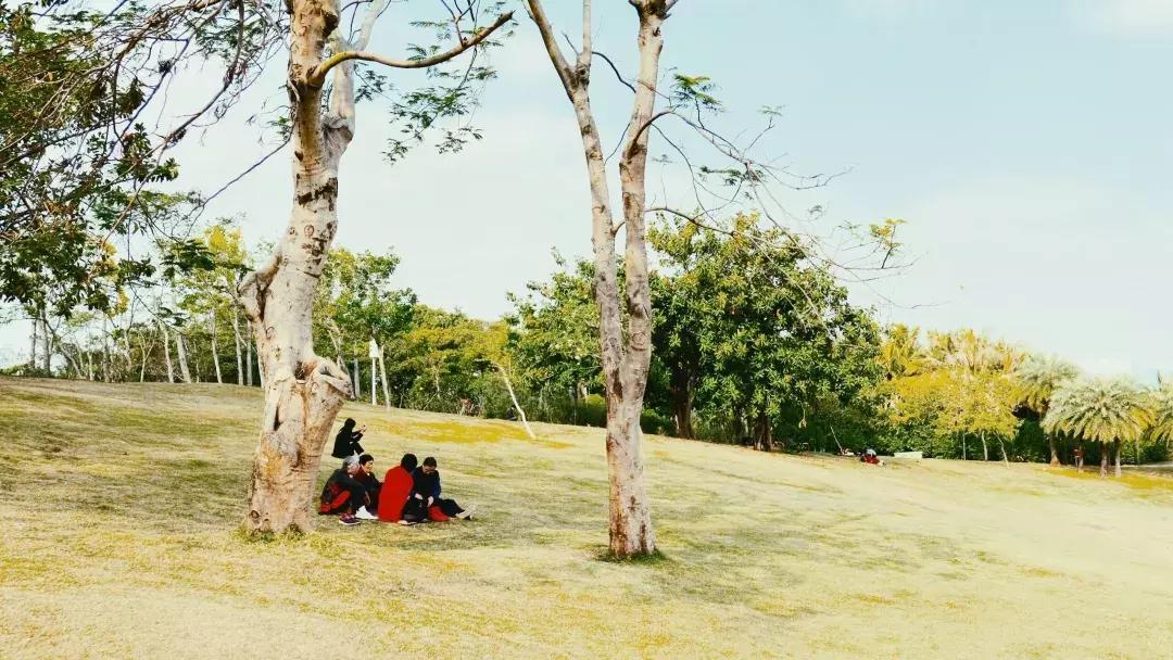 深圳湾公园这里有什么好吃的,深圳湾在哪里