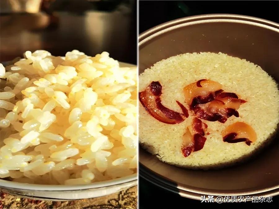 胚芽米为何成了“网红米”？北纬45°的寒地胚芽米竟然越凉越好吃