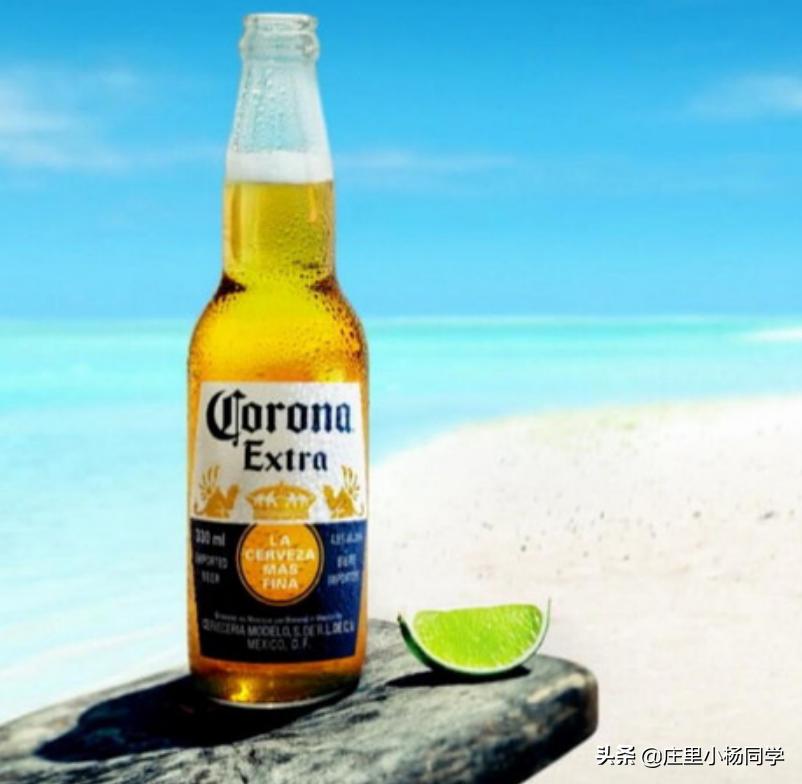 真正的进口啤酒品牌,进口啤酒了解一下