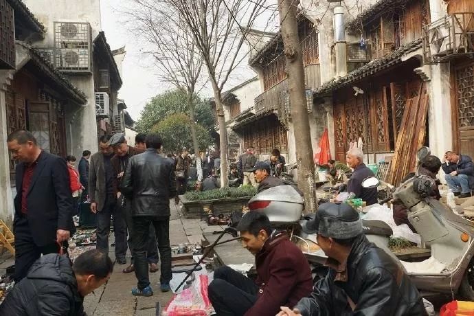 周末空不？走！咱们去嘉兴月河淘个宝