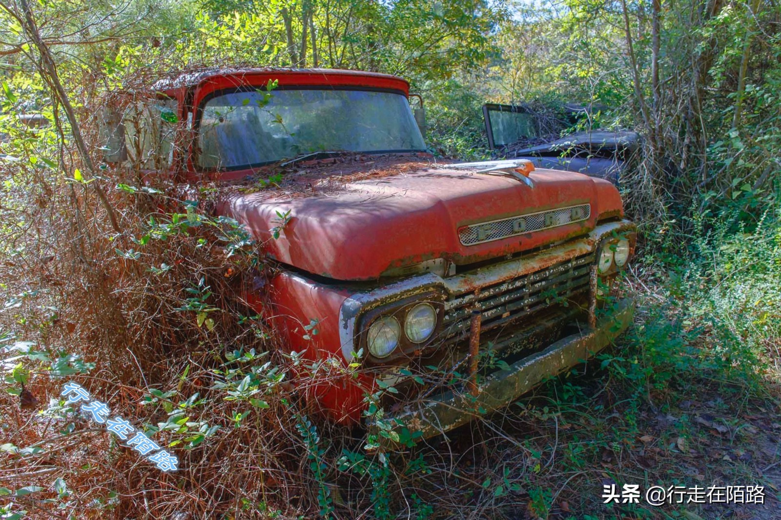 最值钱的废品,最值钱的废品回收