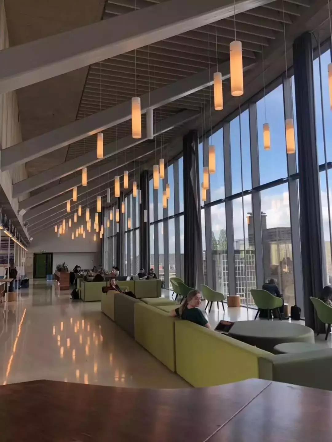 名师探访——风中国度的自由之花，荷兰阿姆斯特丹大学