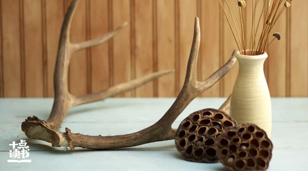 与人交往牢记三个社交潜规则,成年人的社交礼仪礼貌常识