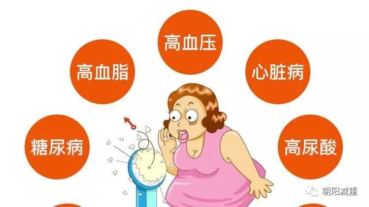 超重和肥胖对健康的危害
