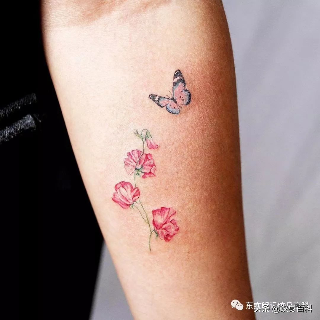 蝴蝶纹身图案代表什么,代表自由的蝴蝶纹身