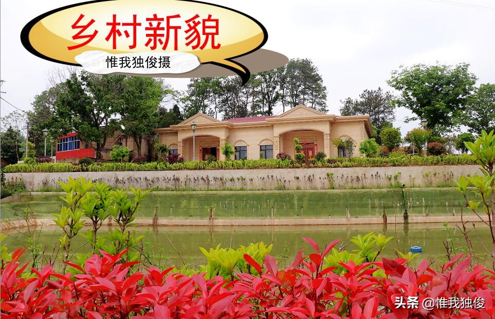 随州拱桥河村,致富不忘众乡亲