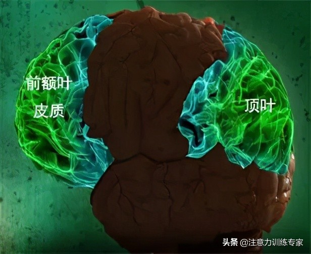 注意力不集中走神发呆做作业拖沓,三种方法解决孩子走神