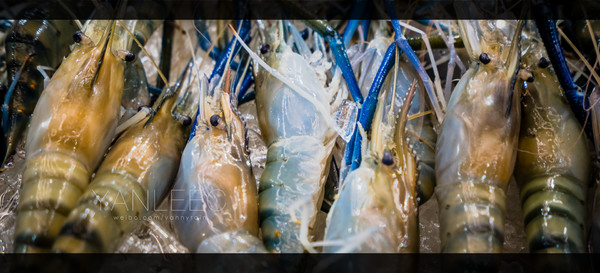 最新玩转泰国攻略,泰国旅游漫游