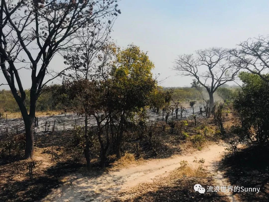 流浪非洲，乘坐中国援建火车去赞比亚，满满的亲切