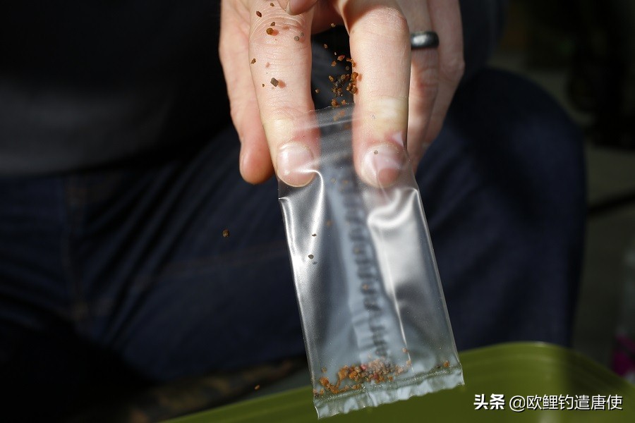 话说欧鲤之钓组篇,话说欧鲤钓