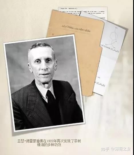 澳洲茶树如何培育,杀菌作用大的植物