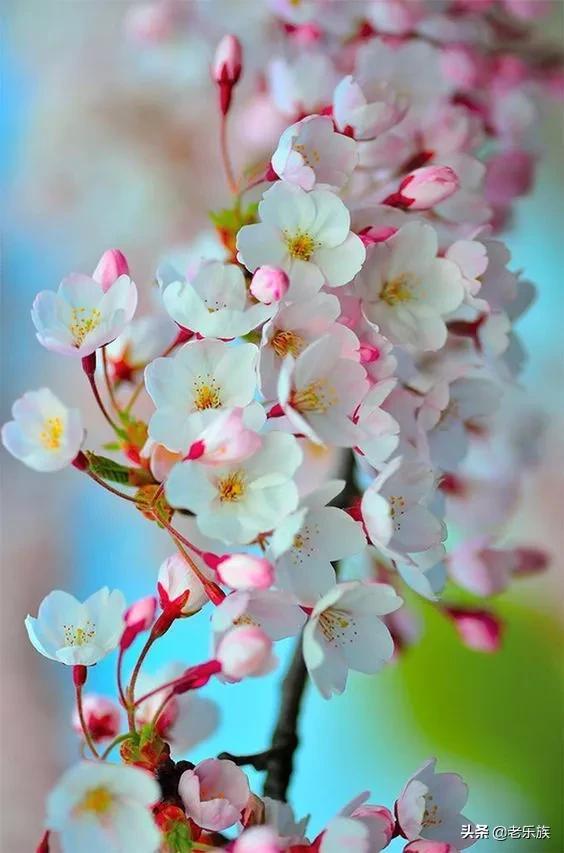 离退休之后一定要停止做这八件事,离退休人员必须知道的条件