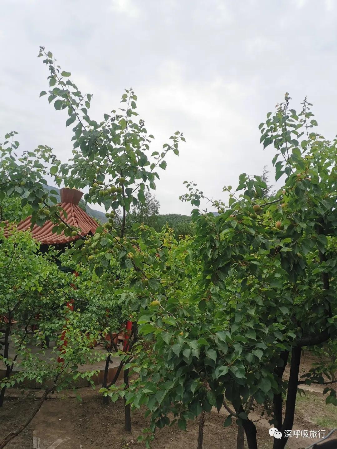 门头沟双龙峡小火车视频,京西小九寨百瀑谷