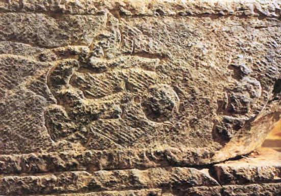 了解足球历史的书,了解足球的发展史