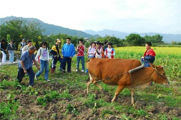 田园生态农庄策划方案大全,如何经营一个休闲农庄