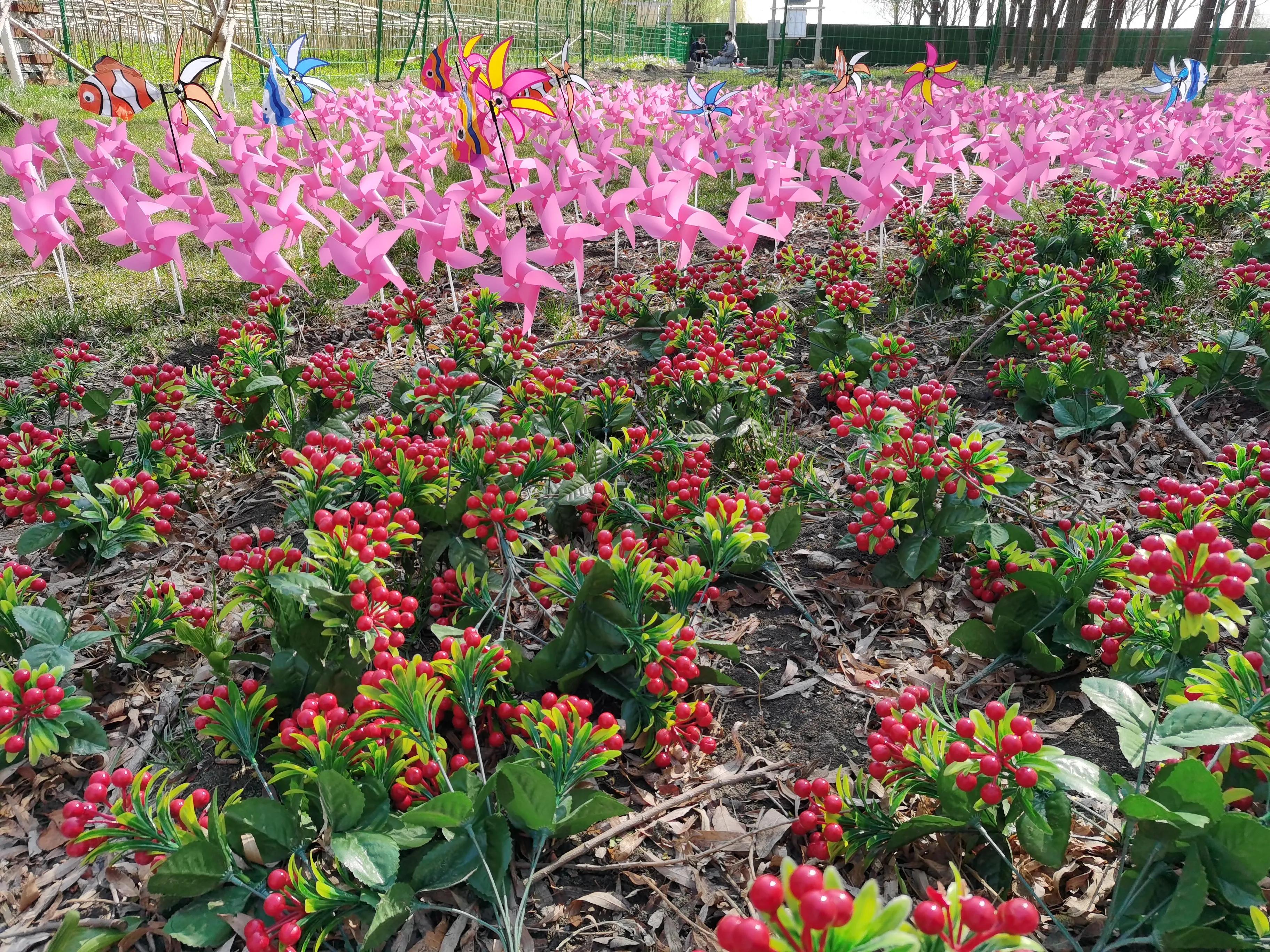 丰南半亩方塘景区,唐山丰南半亩方塘怎么样