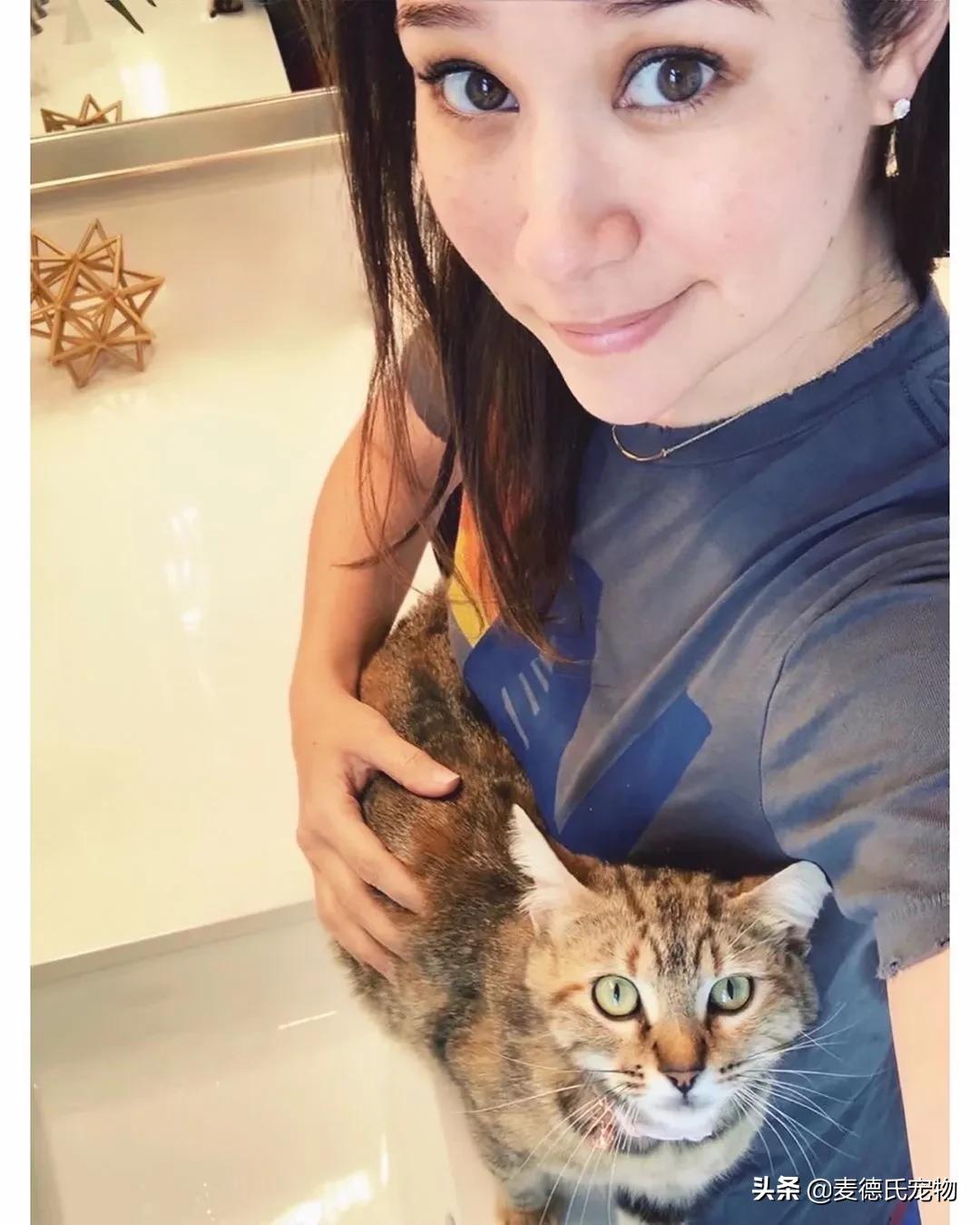 流浪猫猫赖到门口不走,流浪猫在我家门口赖着不走了