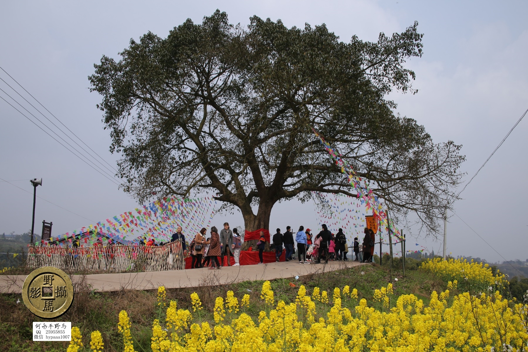 广安撤县名单查询,70年广安县有多少个人民公社