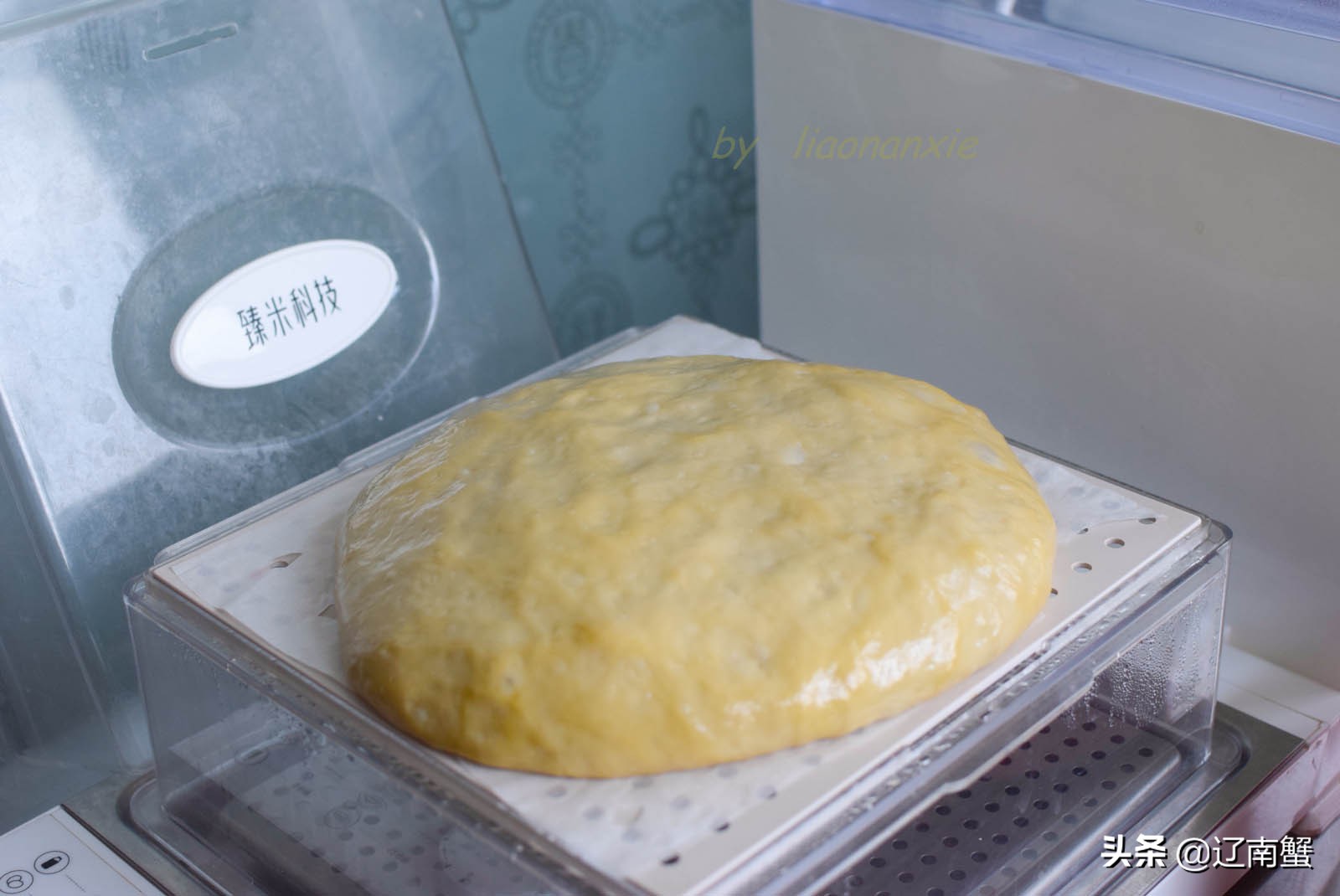 洗面筋凉皮的家常做法,如何自己做凉皮面筋的方法