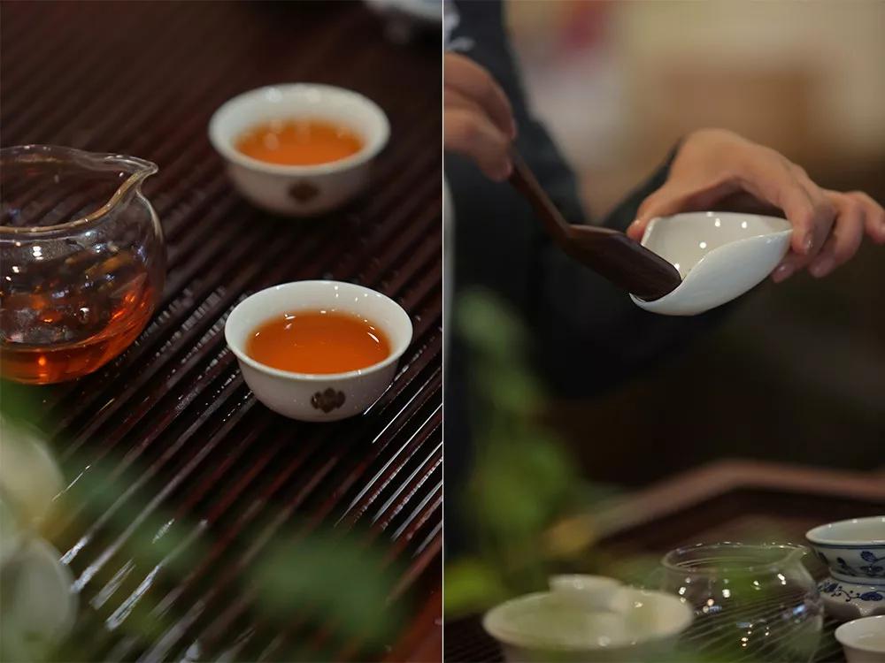 五一山顶云海露营攻略,云海悬崖旅游攻略