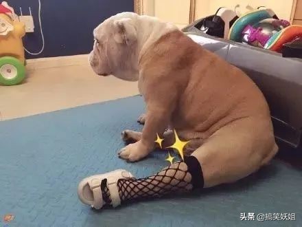 奇葩鞋大赏,奇葩鞋类大赏