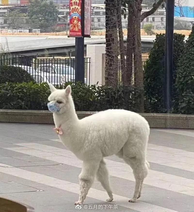 戴口罩百利无害？28岁后女生要注意起来了