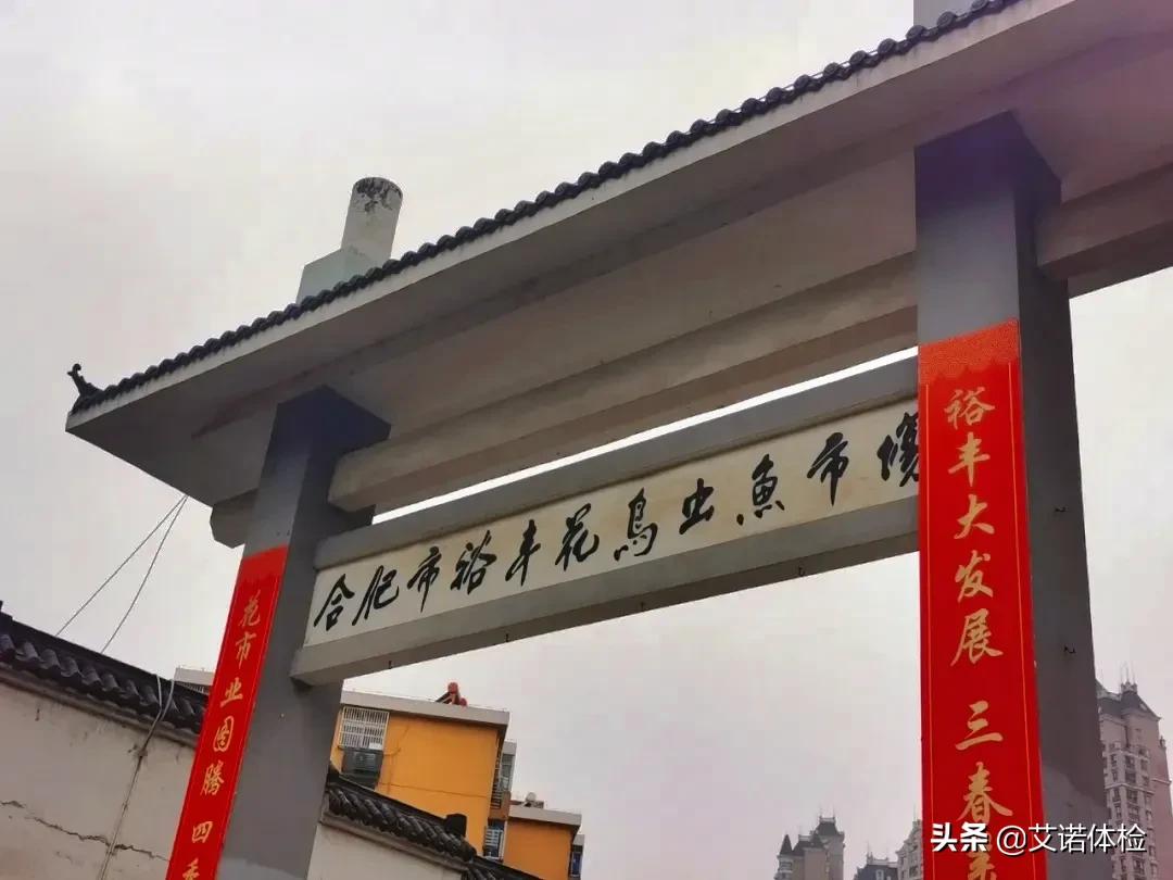 住在明光路的合肥人,太太太幸福了