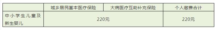 儿童社保卡如何申请电子社保卡,10岁小孩的社保卡网上怎么办
