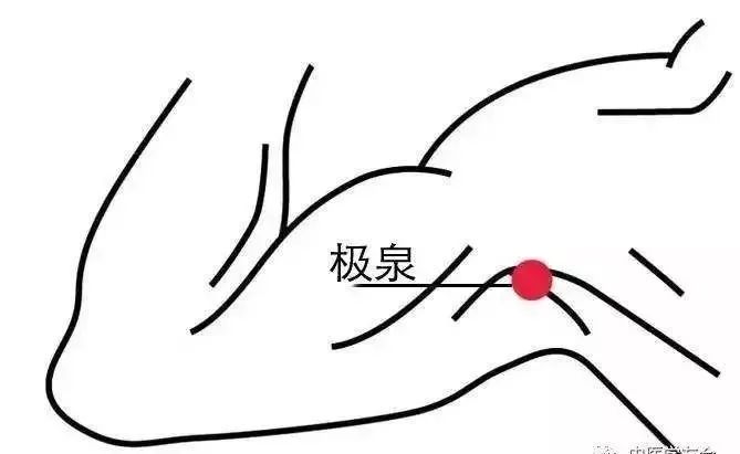 中里巴人消炎穴,中里巴人的穴位按摩法