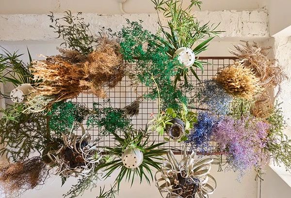 如何把老房子改造服装店,老房子老院子改造服装店