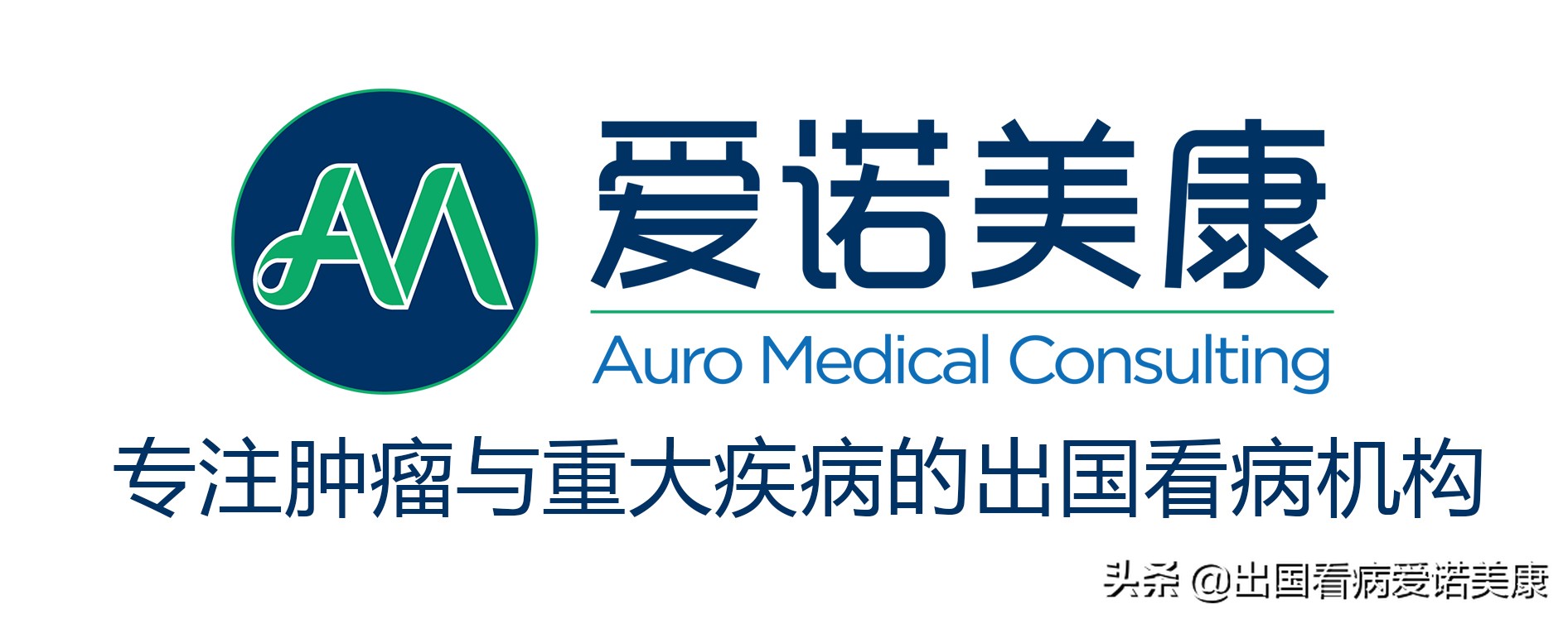 黑色素瘤在肿瘤当中的发病率排名,美国临床肿瘤学会