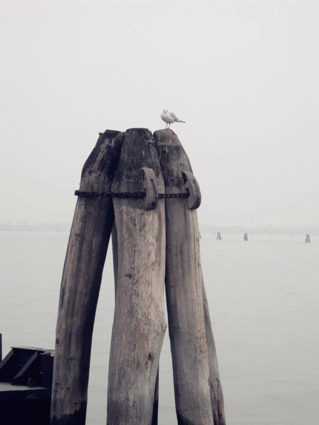 20.12.31意大利纪行—威尼斯