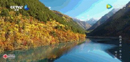 重庆至酉阳绿巨人动车何时开,兰州至陇西有绿巨人列车吗