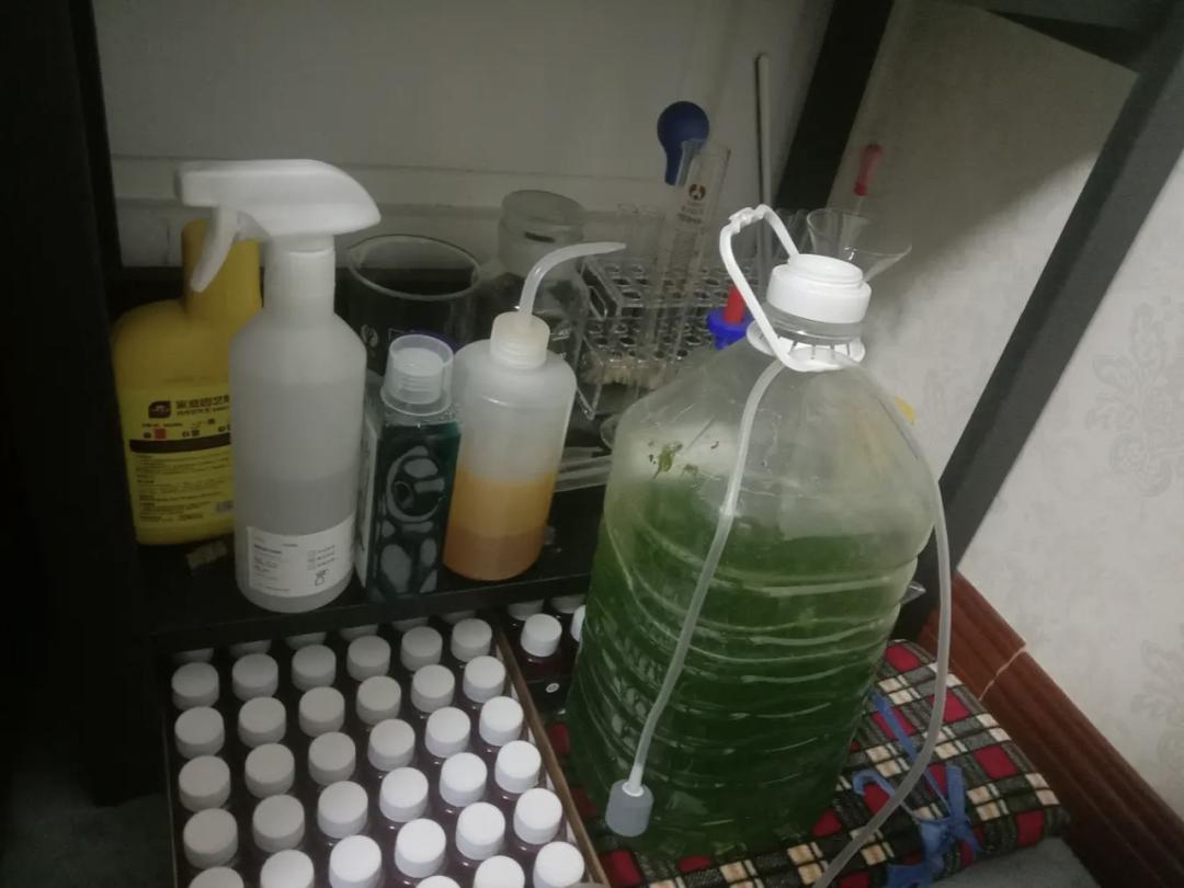 接地气但不能接地府之类的梗,可以接地气但不能接地府梗抖音