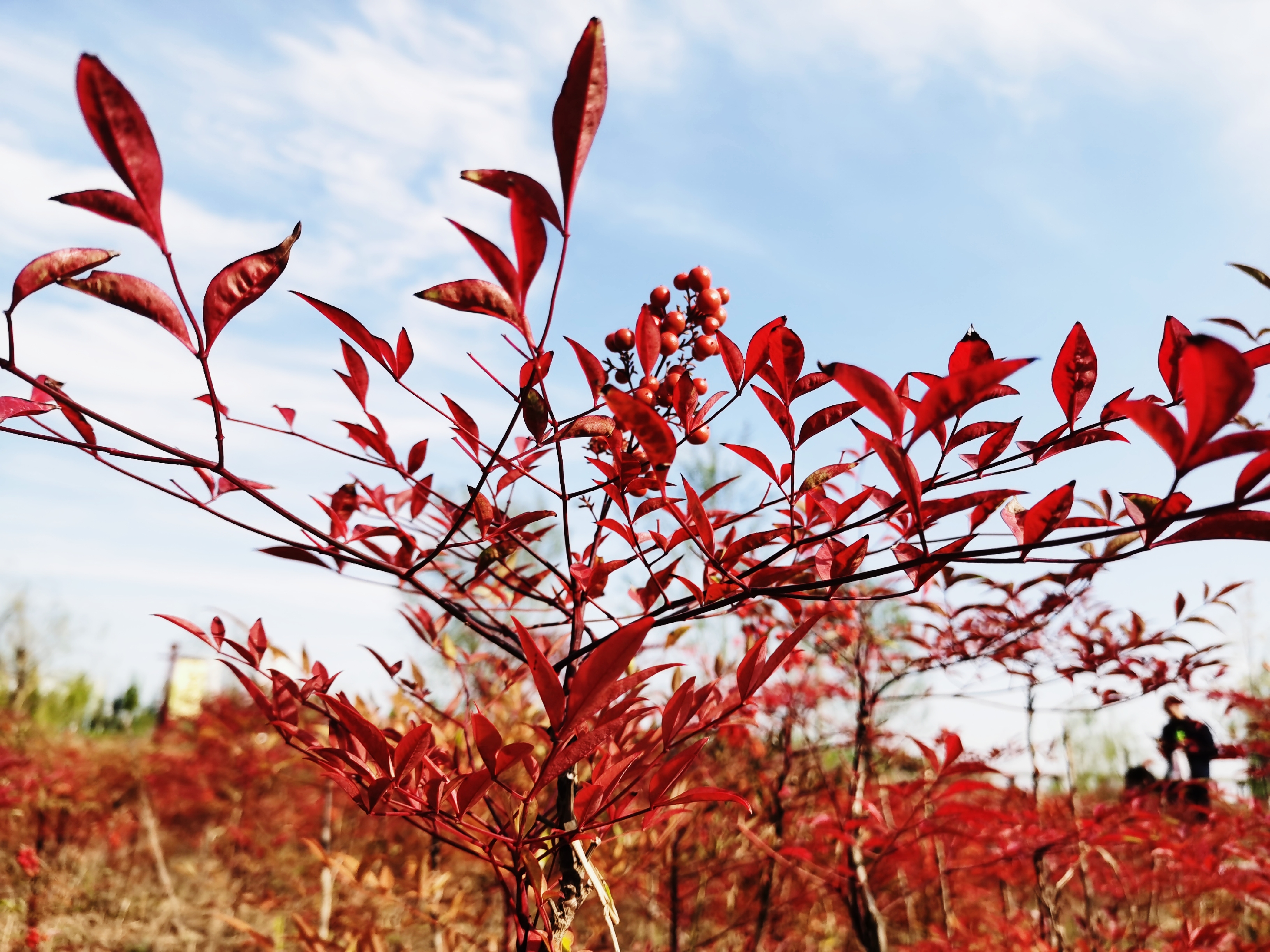 荆山旅游景点大全,荆山美景
