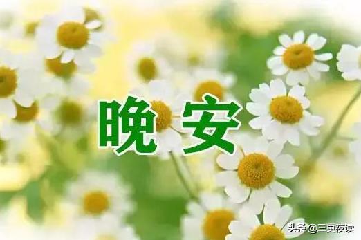 晚安心语不负光阴就是最好的努力,晚安心语伤感心累的语录