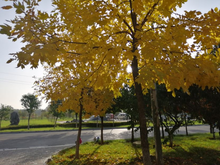 弘扬社会正气的作文议论文素材,弘扬浩然正气传递正面能量作文