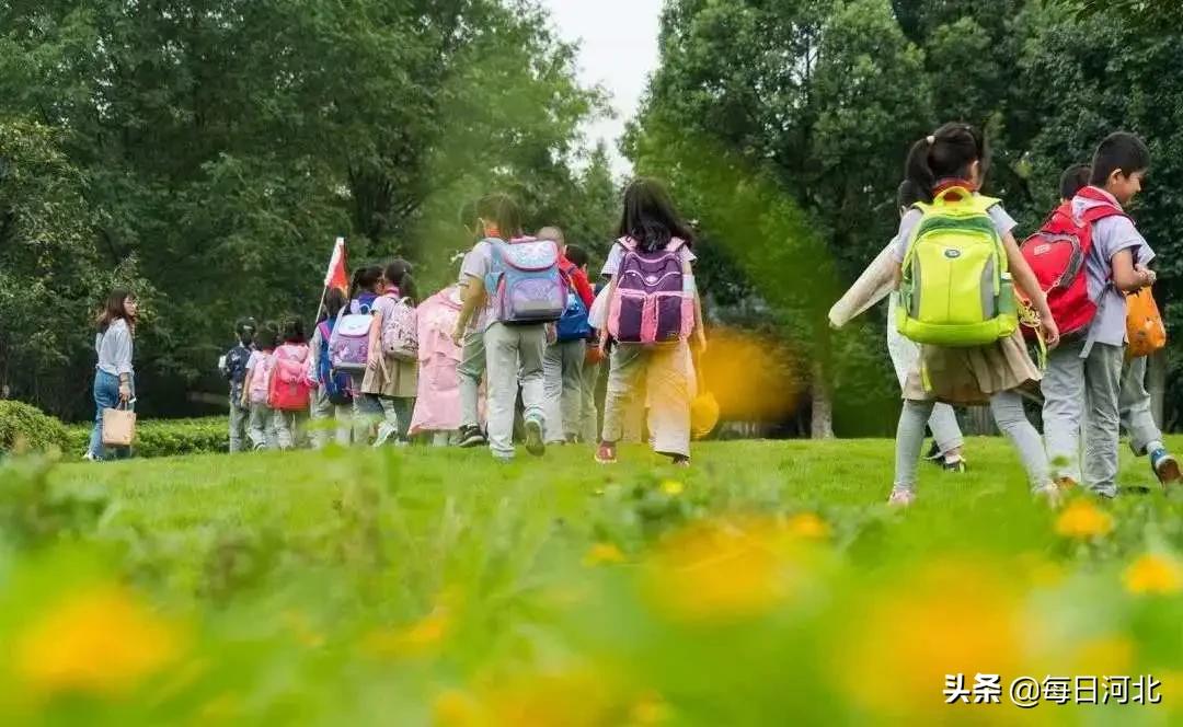 鼎游观察•你的神兽“拍了拍”你，暑期亲子游小高峰来了