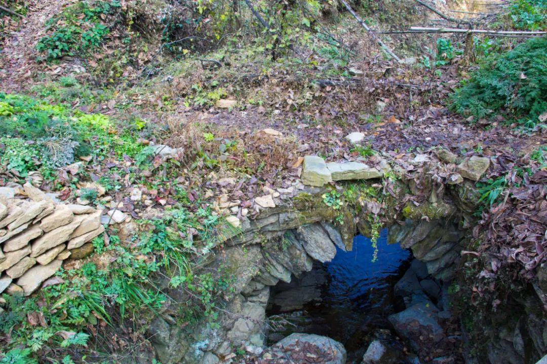 寻访秦岭龙潭村，背篓都是背在背上，这位大婶为何将其挎在腰间？