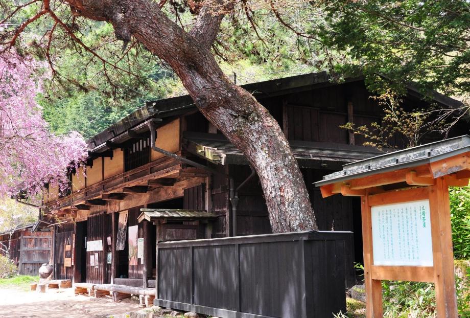 玩转日本京都,玩转日本东京大阪自由行