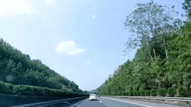 广州周末自驾游去处,广州自驾游十大最优景点