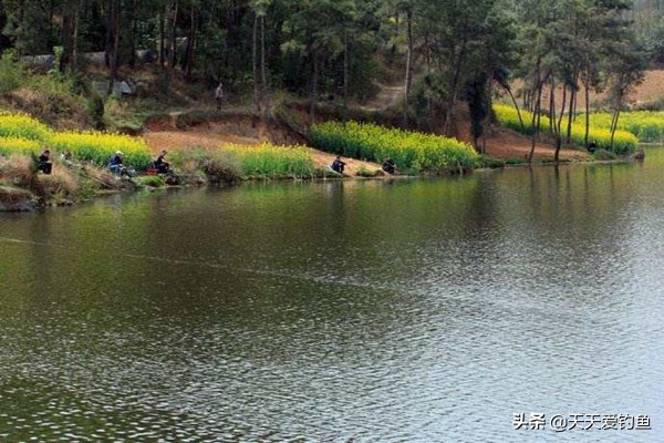 夏季大风天钓鱼的三个技巧,大风天无漂钓鱼