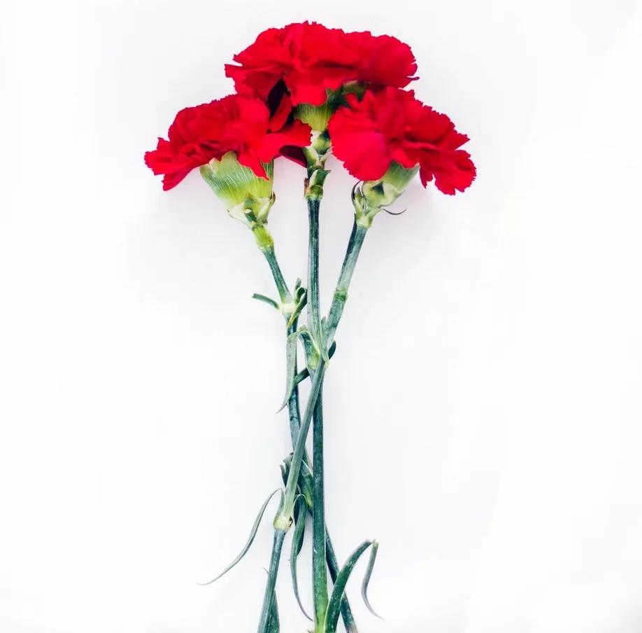 愿岁月静好度细水流年图片,惟愿岁月静好安度细水流年