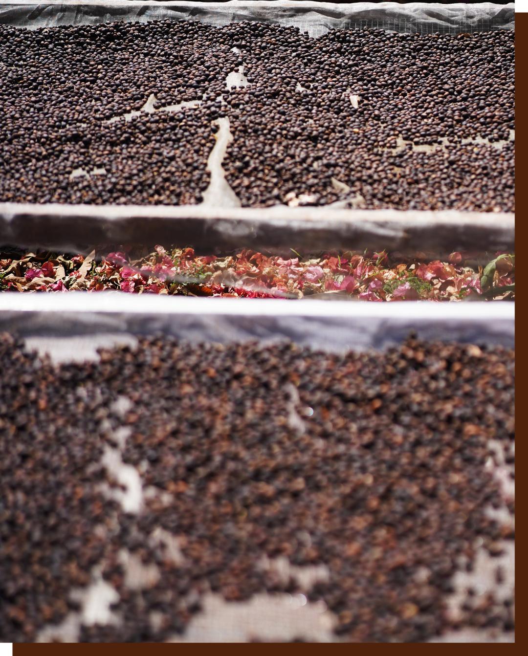 如何点一杯咖啡显得专业,如何点一杯美式咖啡