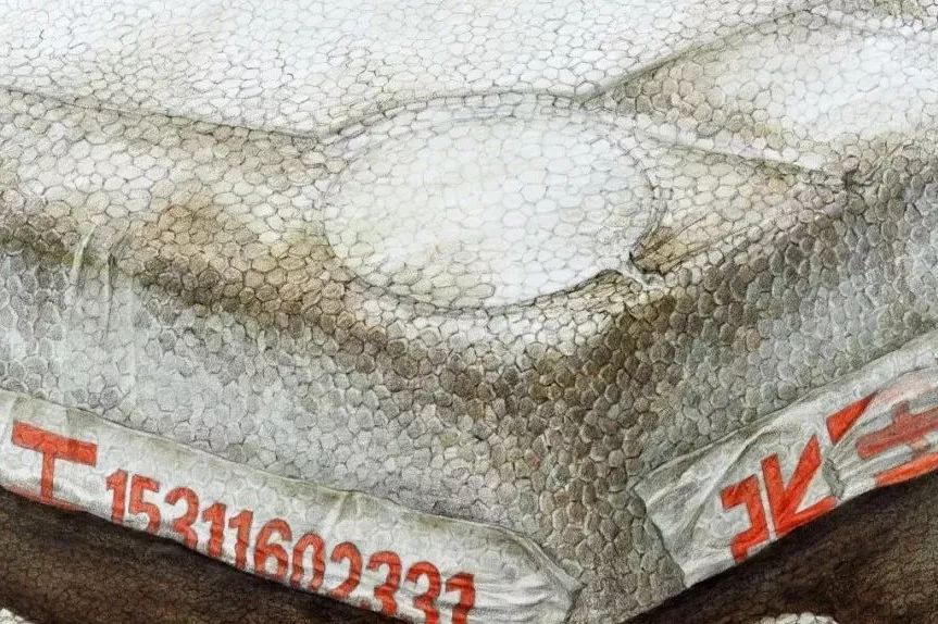 央美vs985,鲁美附中精微素描作品欣赏