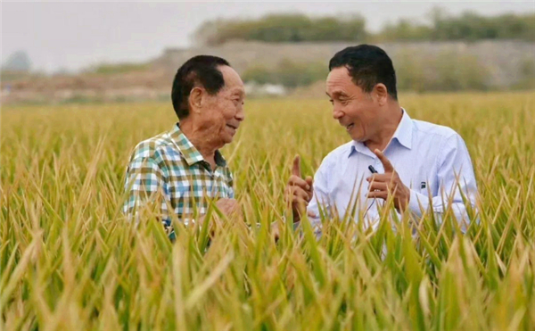 霍金牛顿爱因斯坦谁最厉害,牛顿和爱因斯坦谁的科学能力厉害