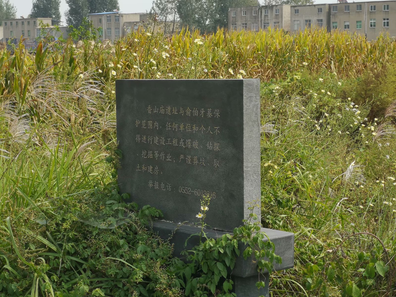 俞伯牙墓为什么在固镇,俞伯牙墓出土