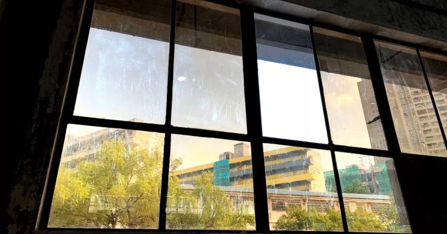 去蛇口玩吗,深圳蛇口值得去吗