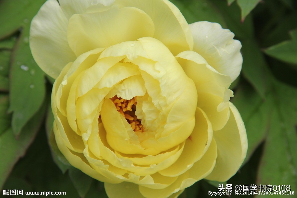 辛弃疾诗词5言绝句,辛弃疾诗词50首四句七字诗