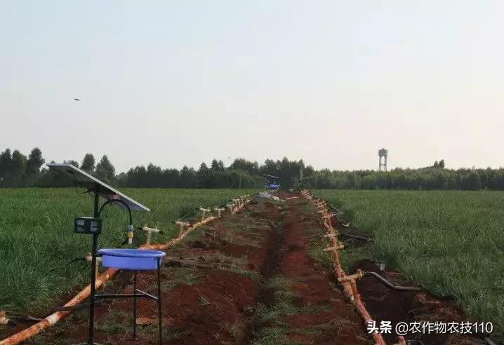 从卖菜商贩到产值千万的老总,从蔬菜产地到大型菜市场批发蔬菜